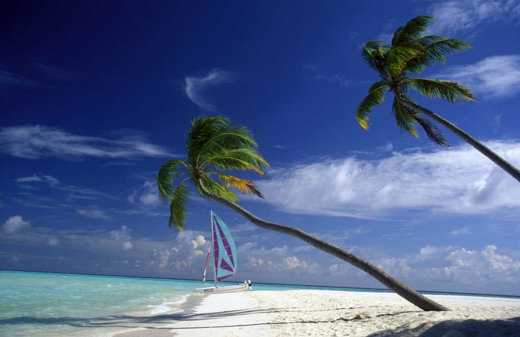 Viaggio nelle Maldive, un altro paradiso tropicale, ideale per immersioni e snorkeling tra atolli e barriere coralline 4 wapt image post 40