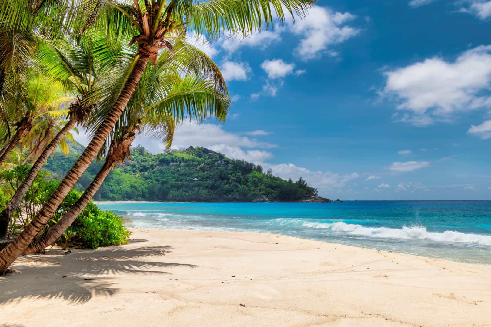 Viaggio nelle Maldive, un altro paradiso tropicale, ideale per immersioni e snorkeling tra atolli e barriere coralline 5 wapt image post 41