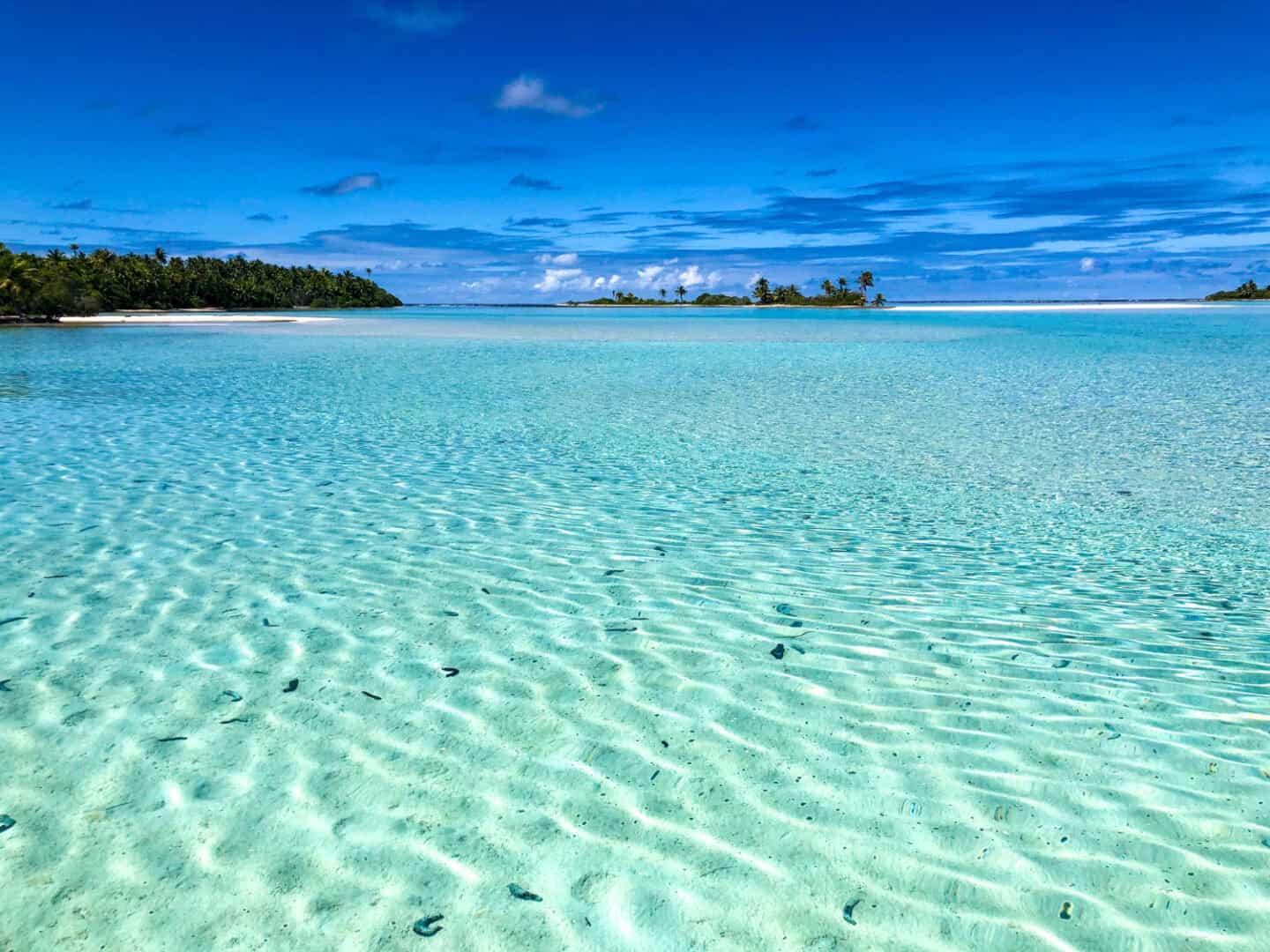 Viaggio nei Tropici? Tra le migliori scelte possibili. Clima, ambiente naturale, bassi costi 2 wapt image post 965