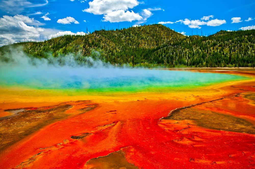 Yellowstone, la natura incontaminata del selvaggio West degli Stati Uniti 6 Yellowstone, la natura incontaminata del selvaggio West degli Stati Uniti