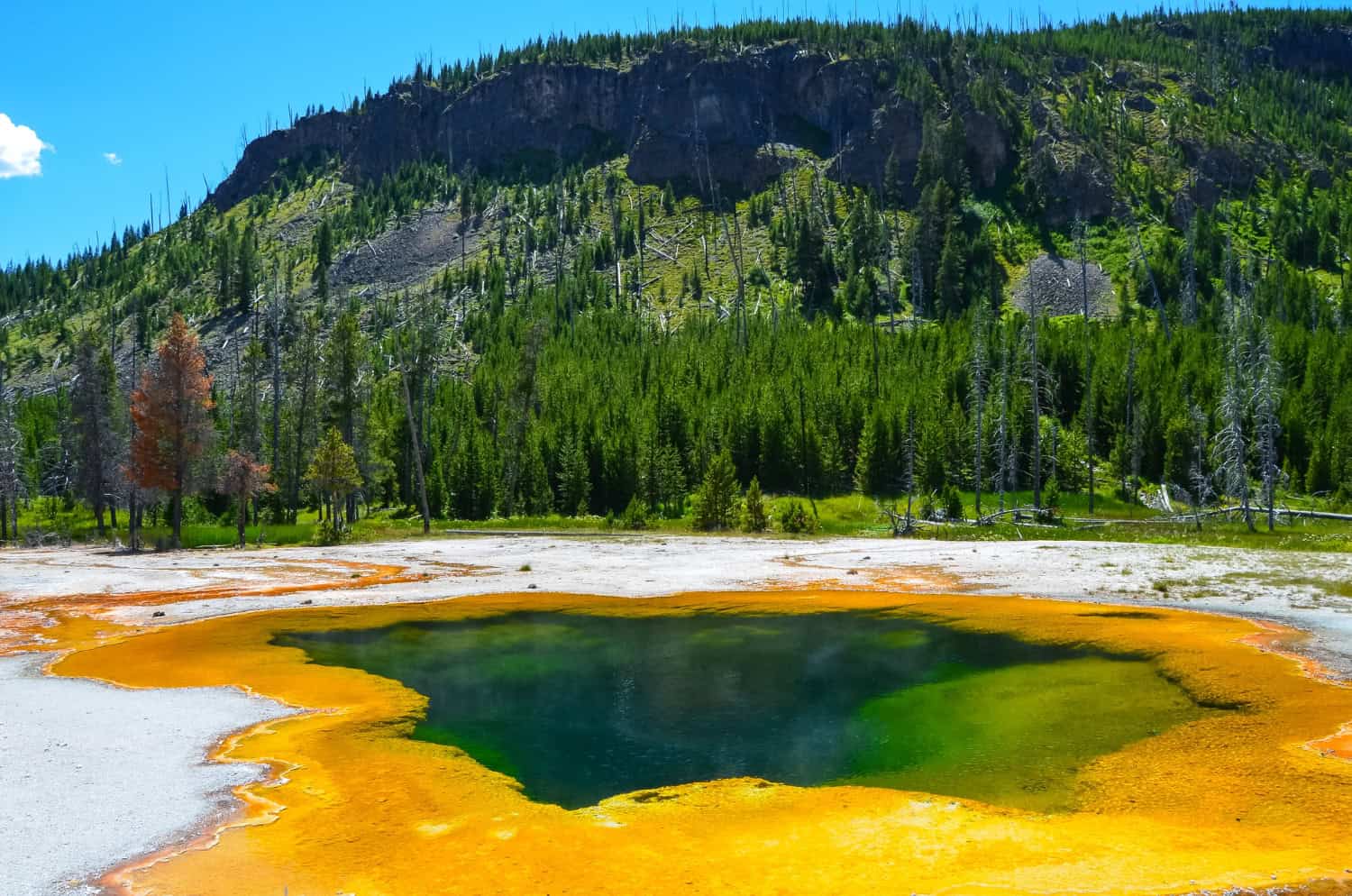 Esplorando le meraviglie naturali del Parco Nazionale di Yellowstone, Stati Uniti 14 Esplorando le meraviglie naturali del Parco Nazionale di Yellowstone, Stati Uniti