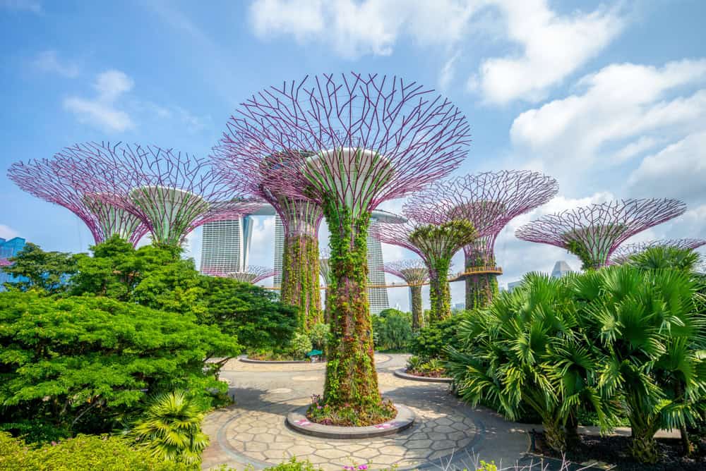 Singapore: la Città-Stato dal futuro innovativo, ma con tradizioni da non perdere in un viaggio 3 shutterstock 1153910839