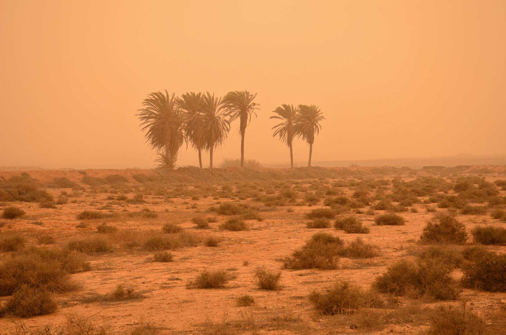 Viaggi alle Canarie: meteo ostile d'Estate, troppo caldo 13 Viaggi alle Canarie: meteo ostile d’Estate, troppo caldo