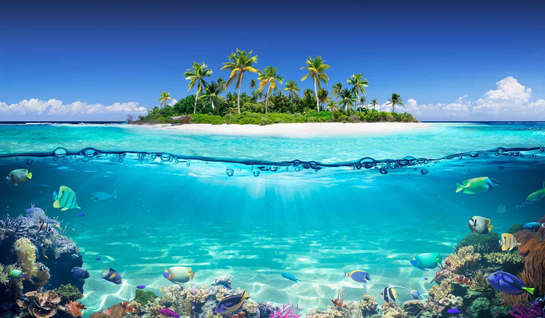 L’Isola dei Famosi 2024, ultima puntata, la novità, eliminazioni