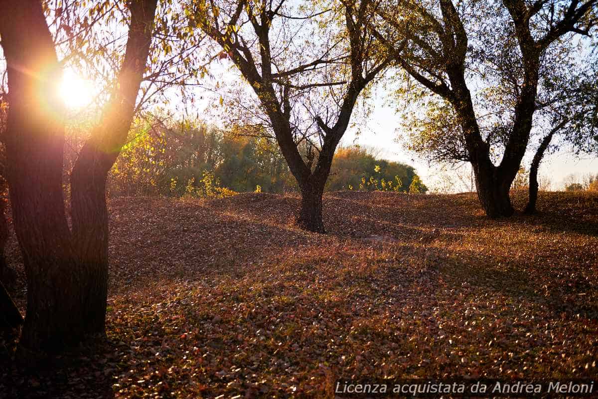 Meteo L’Aquila: Poco Nuvoloso e Vento, Serenità in Arrivo 6 Meteo L’Aquila: Poco Nuvoloso e Vento, Serenità in Arrivo