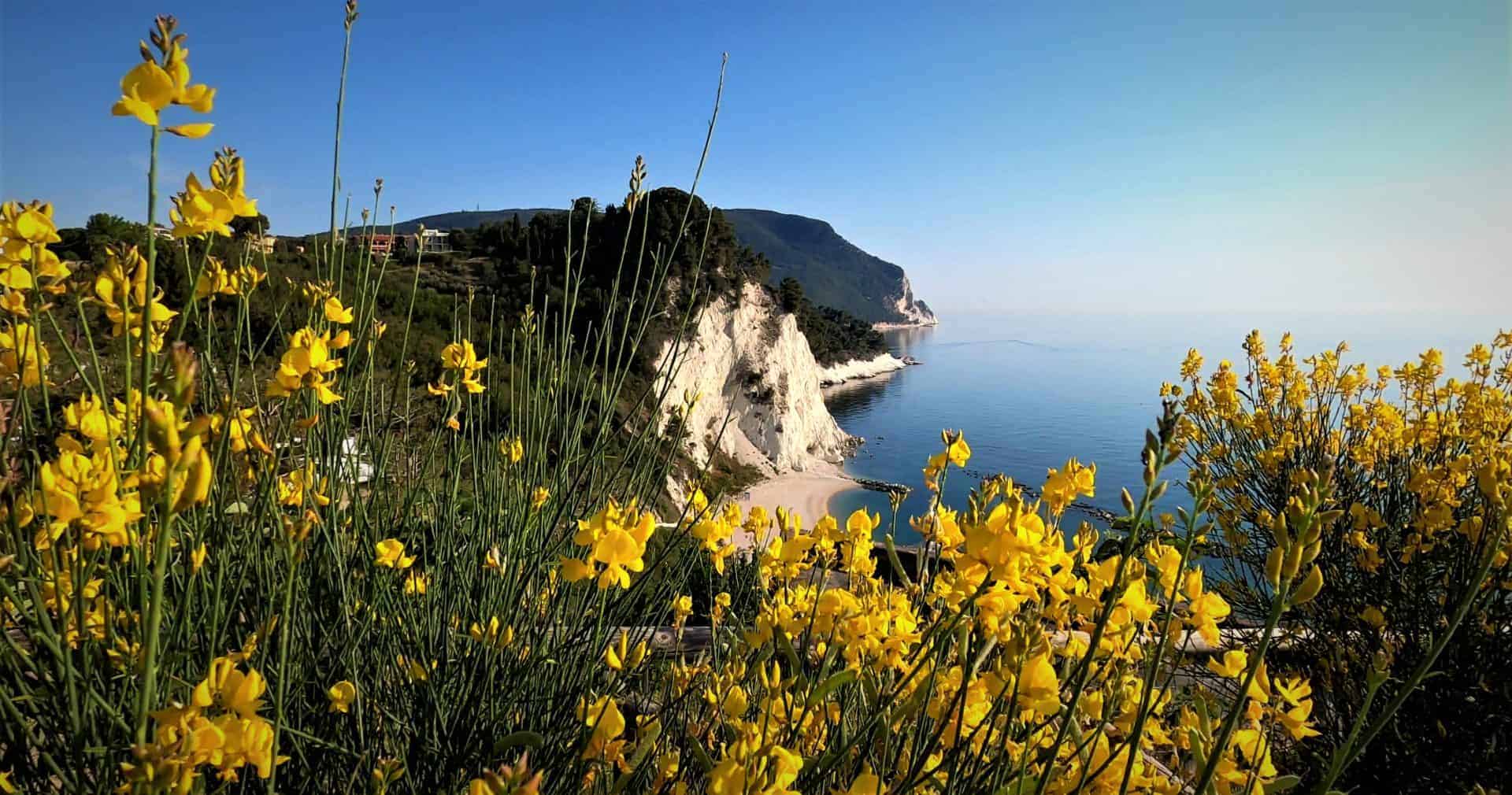 Esplorazione del Parco del conero: paesaggi mozzafiato e biodiversità uniche 2 19 mag 24 vlcsnap 2021 10 06 07h56m51s919 1 scaled