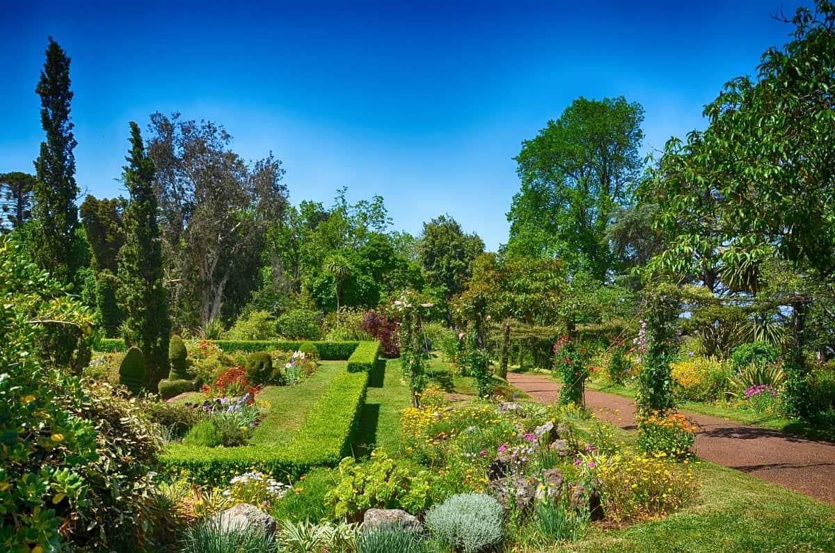 L’incanto dei giardini di Quinta do Palheiro Ferreiro durante un viaggio a Madeira 9 L’incanto dei giardini di Quinta do Palheiro Ferreiro durante un viaggio a Madeira