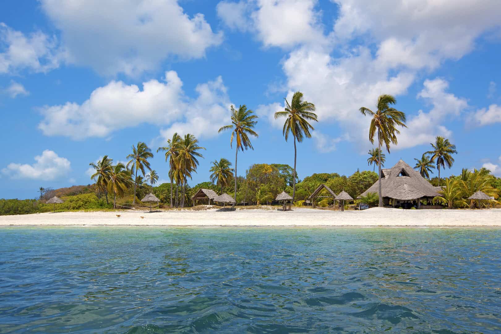 Turismo a Mafia, Tanzania: scopri il paradiso sommerso dell’Oceano Indiano 18 Turismo a Mafia, Tanzania: scopri il paradiso sommerso dell’Oceano Indiano