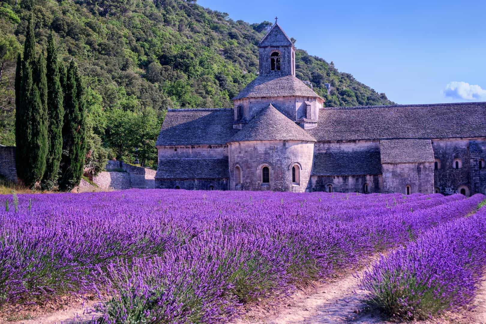 15 meraviglie imperdibili del turismo in Provenza 9 15 meraviglie imperdibili del turismo in Provenza