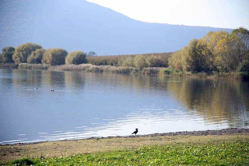 Esplorazione tecnica del magnifico paesaggio del Lago di Vico 19 Esplorazione tecnica del magnifico paesaggio del Lago di Vico
