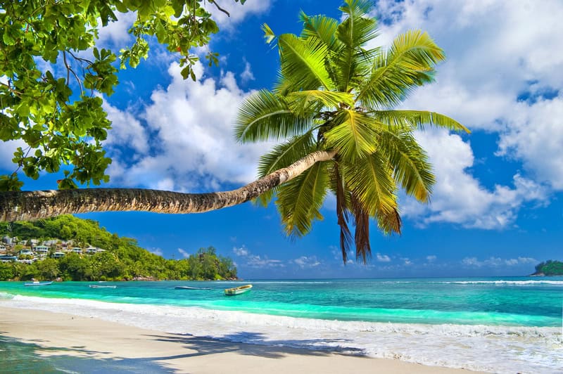 Viaggio alle Seychelles, esplorando il paradiso naturale dell’Oceano Indiano 7 Viaggio alle Seychelles, esplorando il paradiso naturale dell’Oceano Indiano