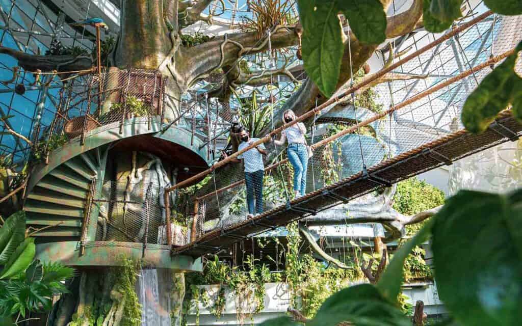 Scoperta ecologica nel cuore di Green Planet durante un viaggio a Dubai 41 Scoperta ecologica nel cuore di Green Planet durante un viaggio a Dubai