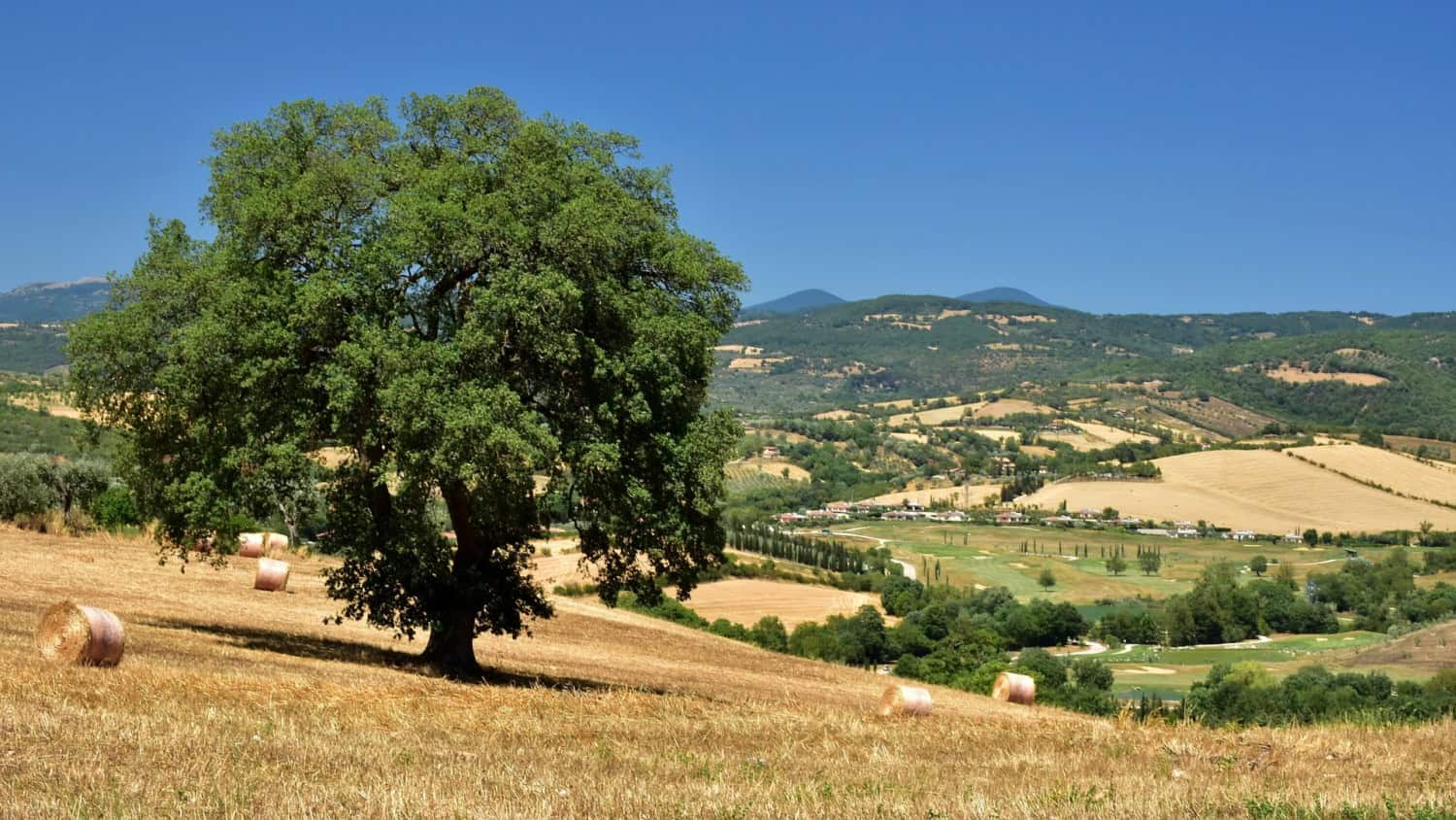 Guida alla scoperta di un incantevole territorio in Maremma toscana. Turismo in Maremma 5 Guida alla scoperta di un incantevole territorio in Maremma toscana. Turismo in Maremma