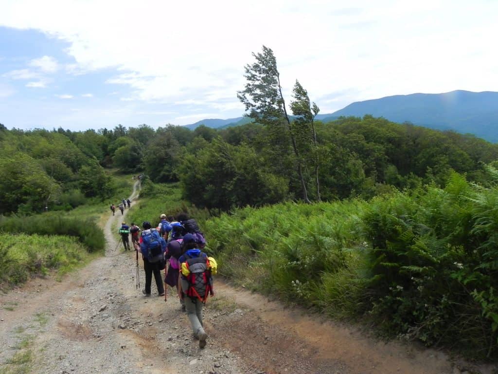 Cammini Aperti 2024: venti incantevoli itinerari per camminate rilassanti in Italia 5 Cammini Aperti 2024: venti incantevoli itinerari per camminate rilassanti in Italia