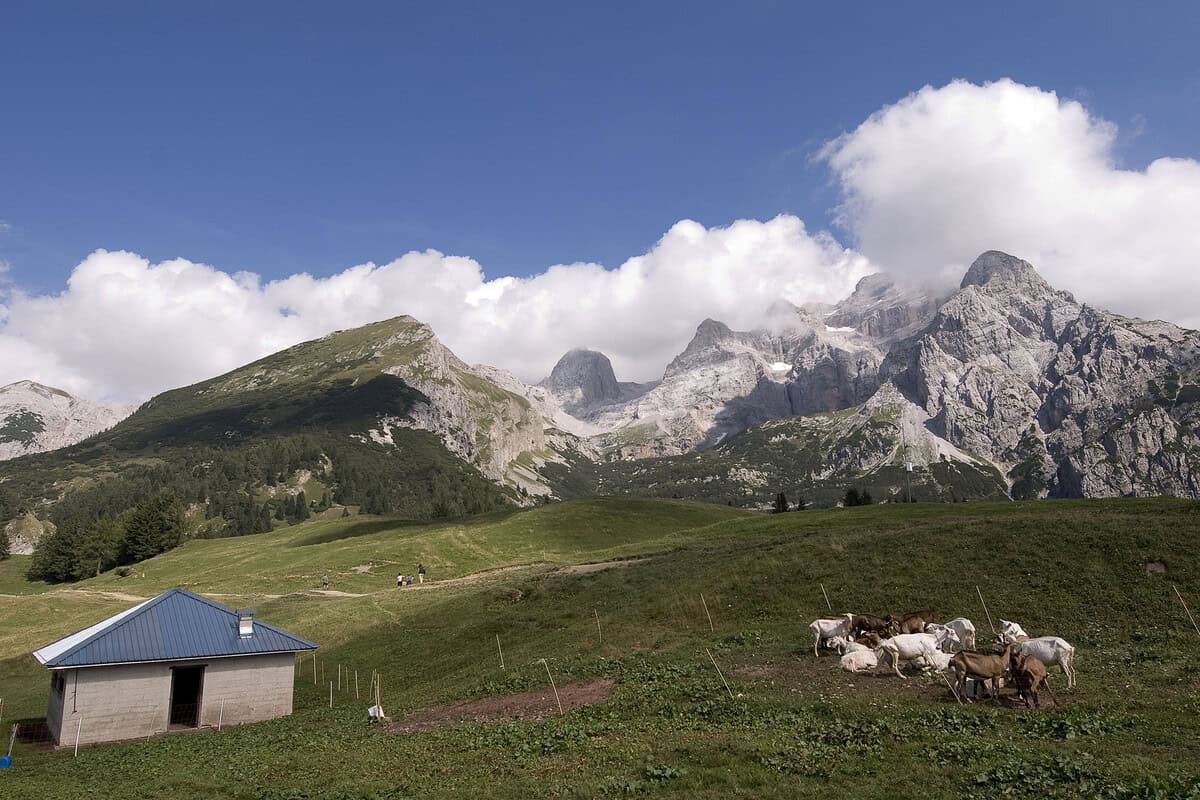 Scoperta del cammino misterioso nella Val d’Algone. Turismo enigmatico in Veneto 18 Scoperta del cammino misterioso nella Val d’Algone. Turismo enigmatico in Veneto