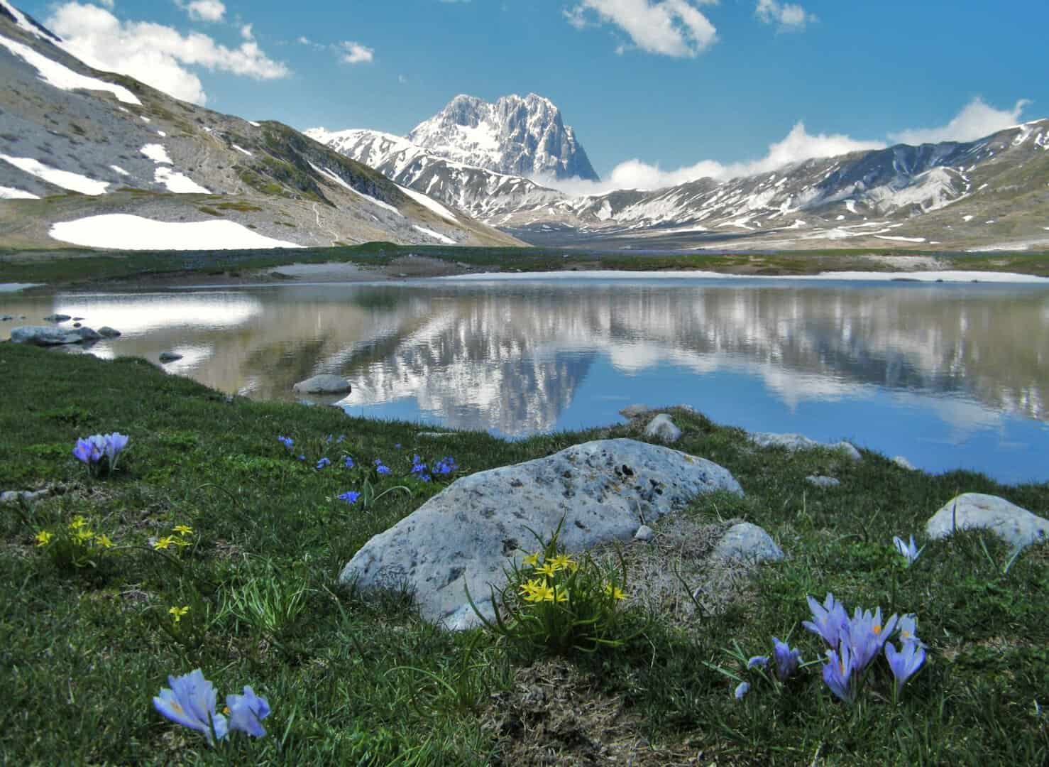 Parco Nazionale del Gran Sasso: un tesoro di biodiversità e conservazione 22 Parco Nazionale del Gran Sasso: un tesoro di biodiversità e conservazione