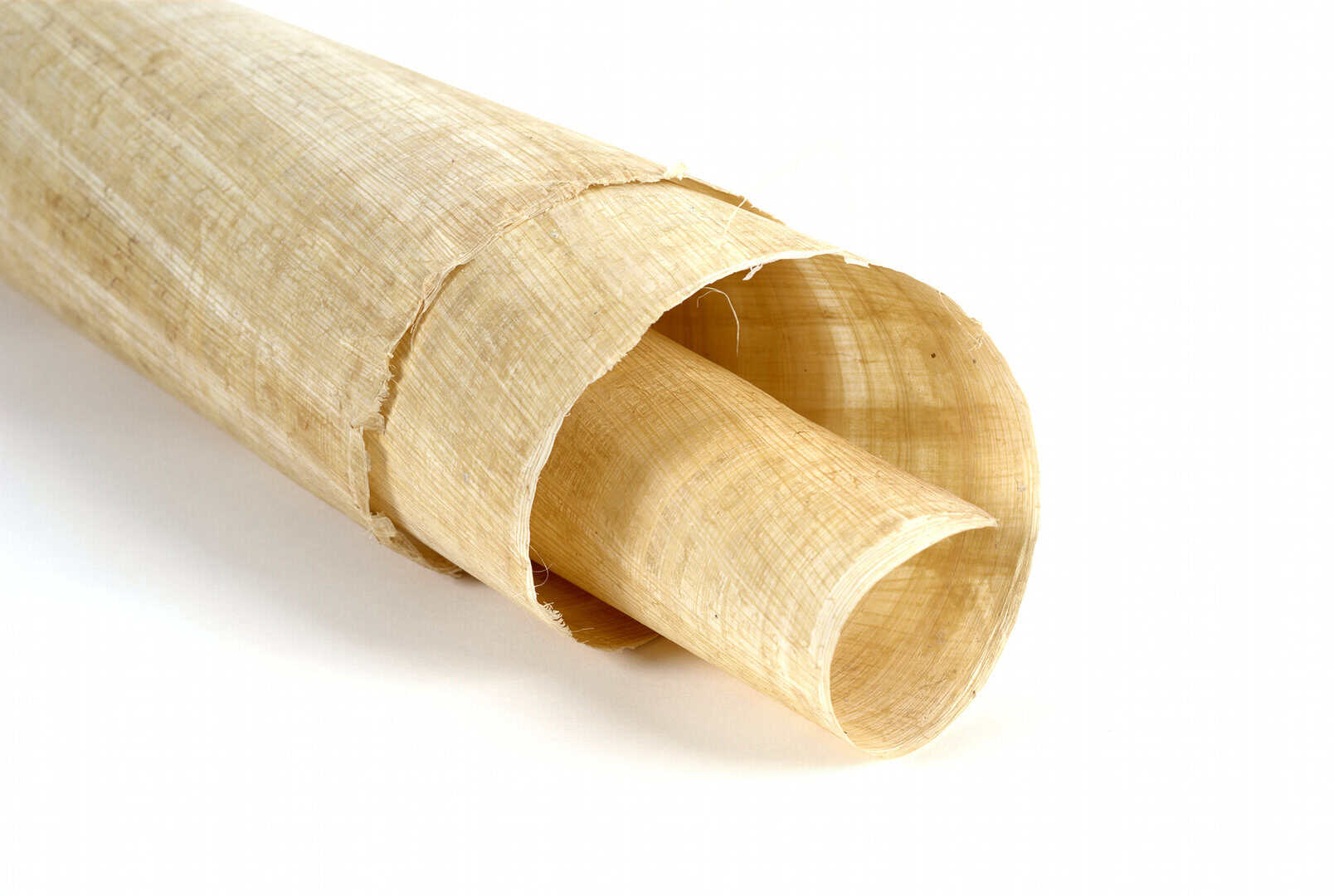 Sorprendente rivelazione in Italia. Segreti nascosti nei rotoli ercolanesi svelati 2 dreamstime m 14041261