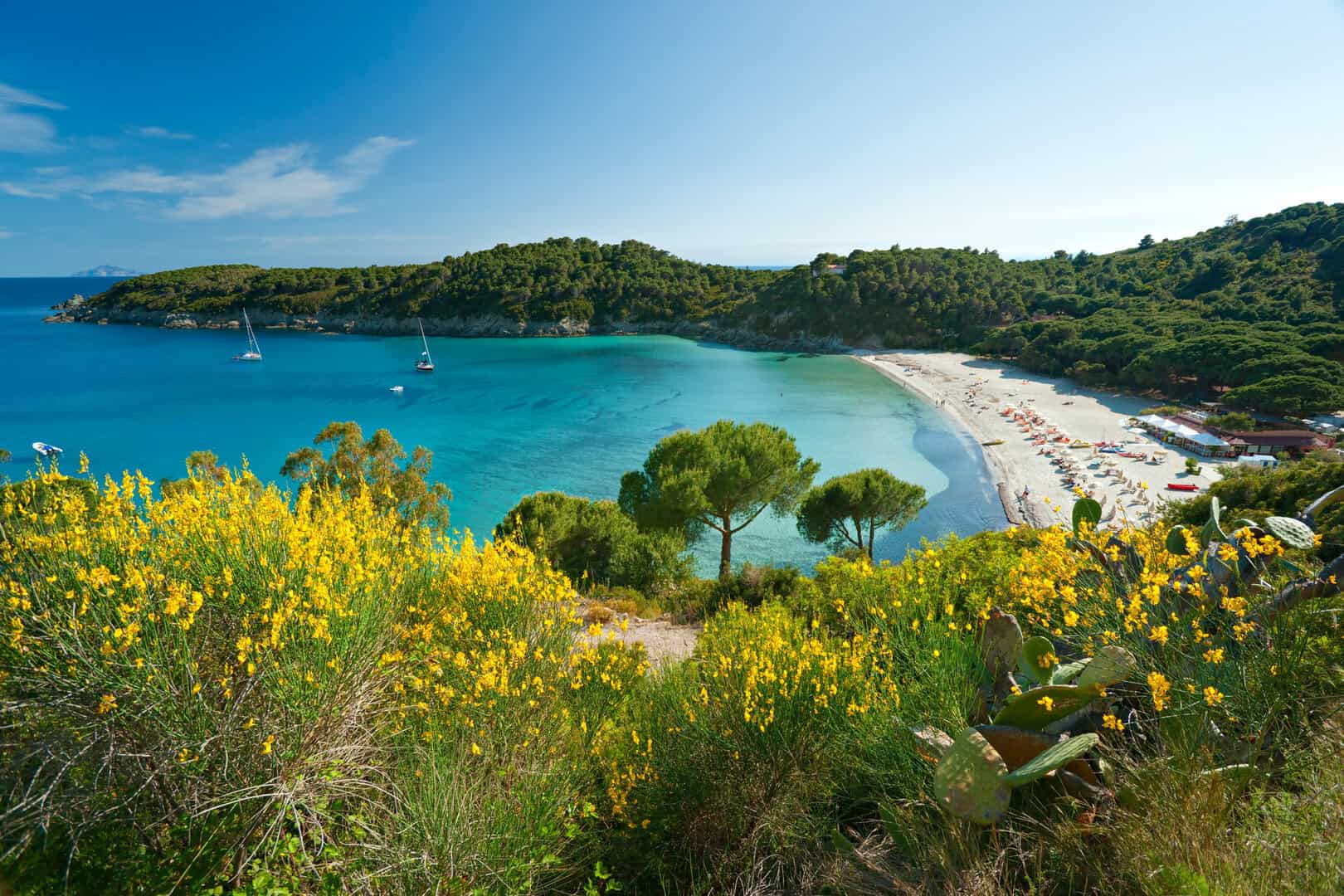 Viaggio dettagliato alla scoperta della tranquillità sull’isola di Elba 2 dreamstime m 21874342