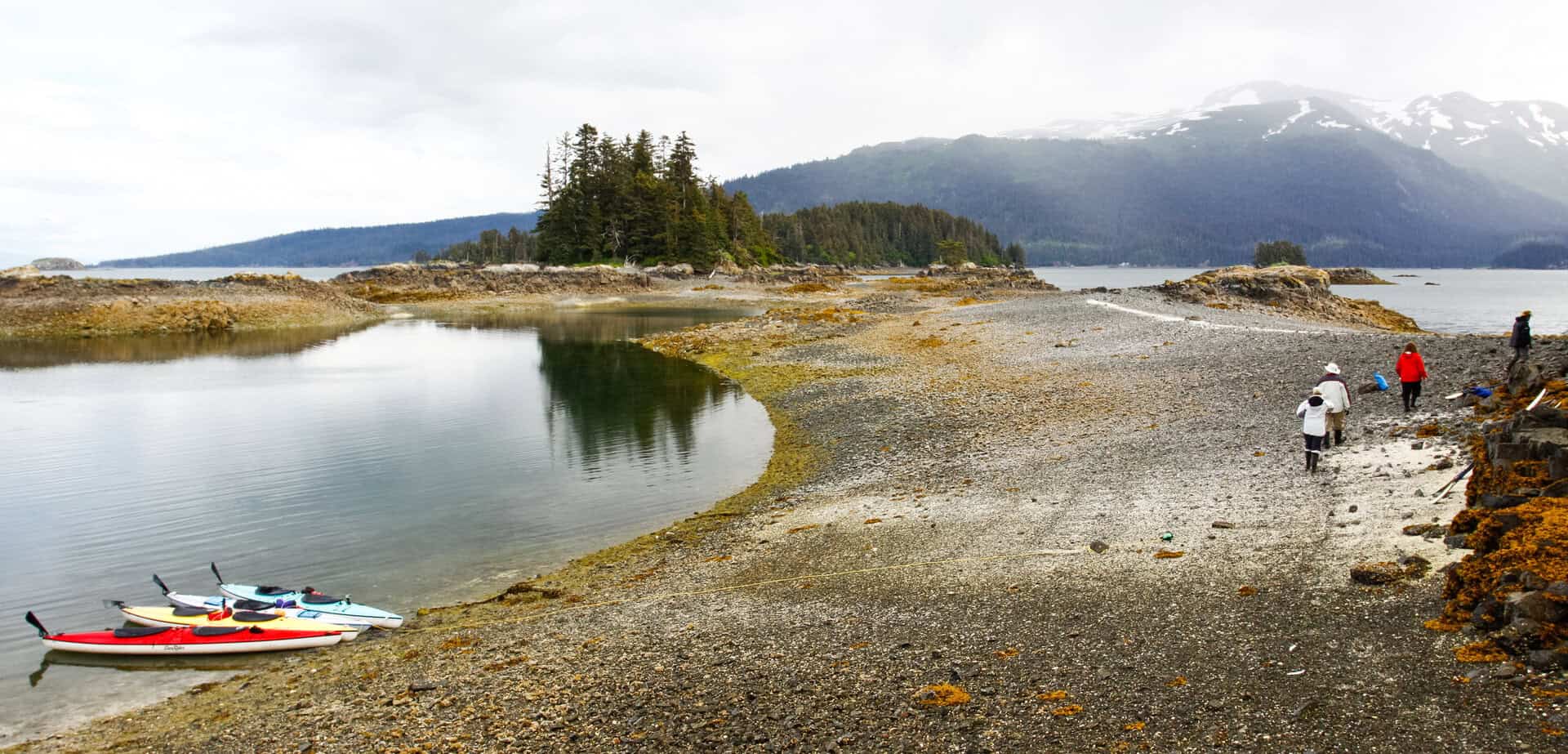 Riscaldamento costiero nell’Alaska sud-orientale: dinamiche della corrente di Alaska 20 Riscaldamento costiero nell’Alaska sud-orientale: dinamiche della corrente di Alaska