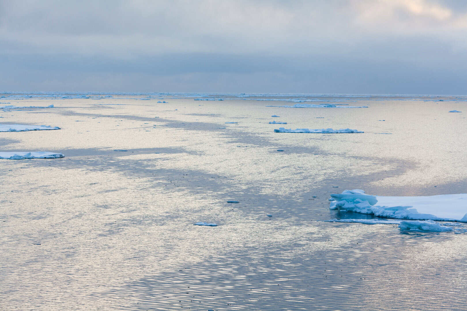 Analisi delle acque fredde. Dinamiche della corrente del Mare di Laptev
