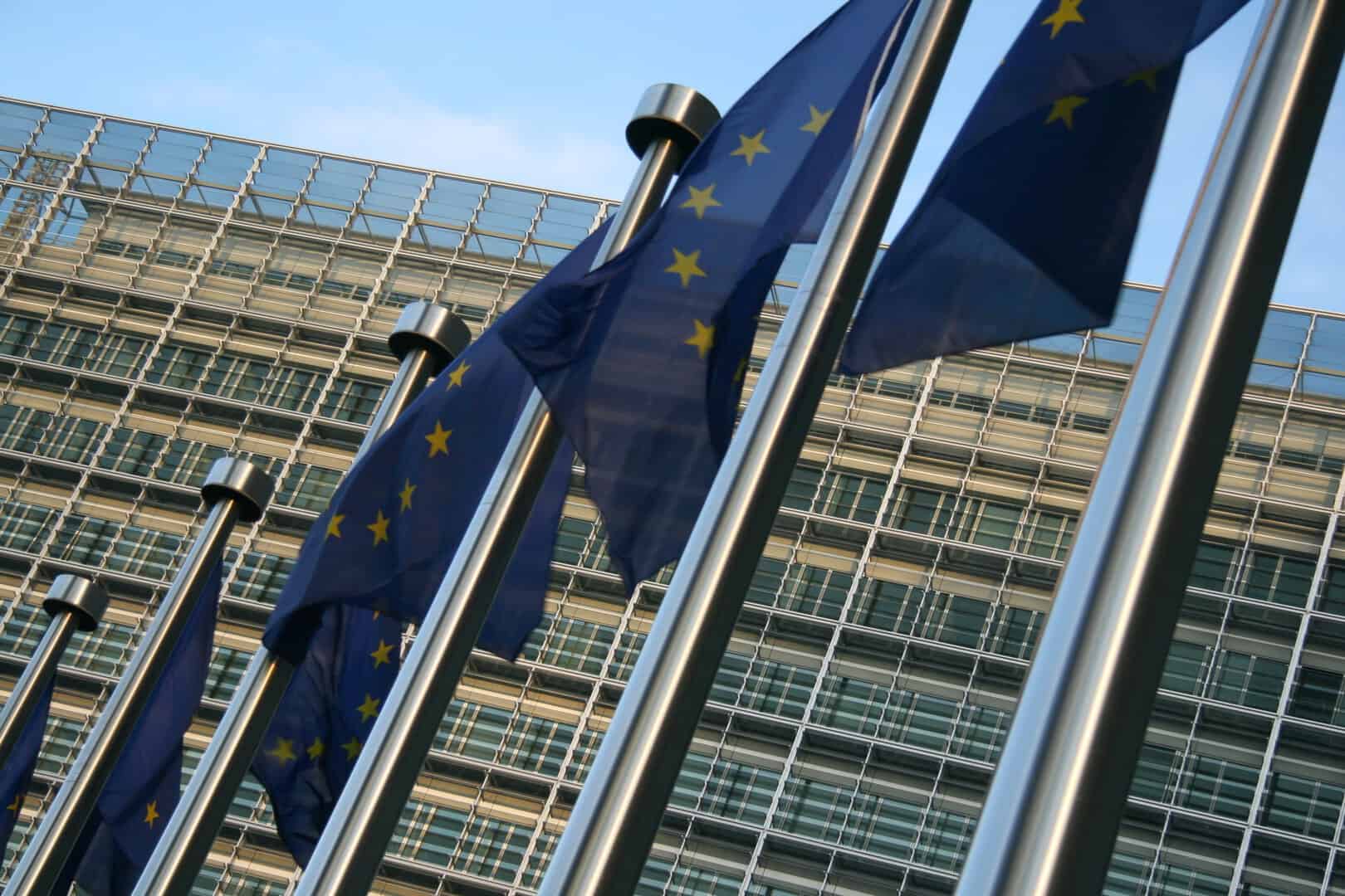 Implicazioni del mercato comune europeo. Dinamiche, opportunità e sfide per le aziende