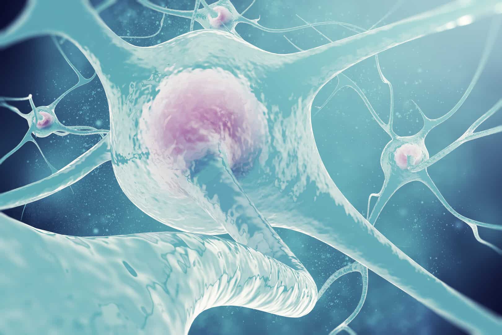 Scoperto il danno dei neuroni causato dallo smog nella Sla. Medicina