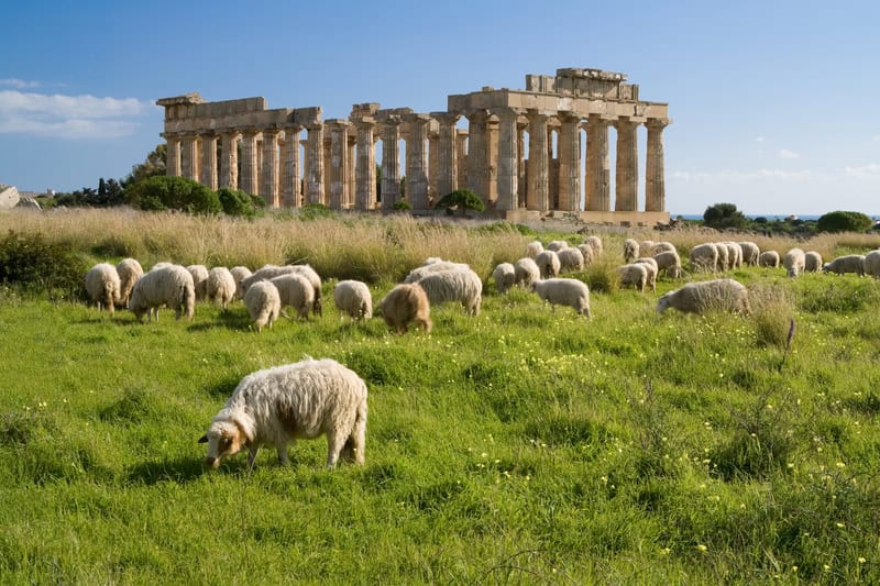 Un bagno di archeologia durante il viaggio in Sicilia