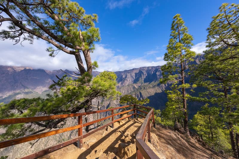 Alla scoperta della natura incontaminata di La Palma 11 Alla scoperta della natura incontaminata di La Palma