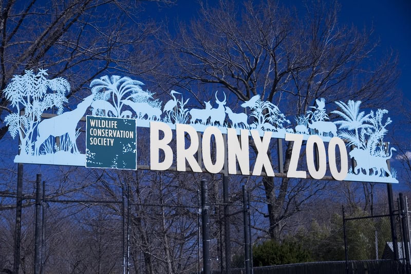 Viaggio a New York alla scoperta delle meraviglie del Bronx Zoo 2 Viaggio a New York alla scoperta delle meraviglie del Bronx Zoo