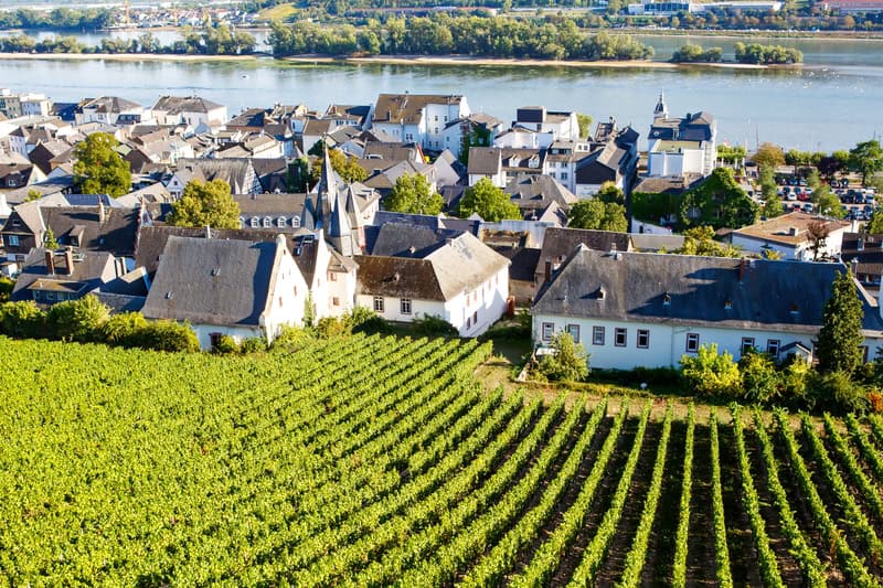 Viaggio nel Rheingau alla scoperta di vigneti e borghi incantevoli 12 Viaggio nel Rheingau alla scoperta di vigneti e borghi incantevoli