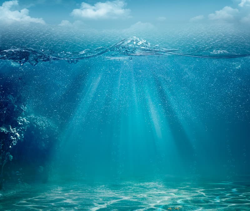 Dinamiche e impatti della corrente del Pacifico Settentrionale sul clima occidentale