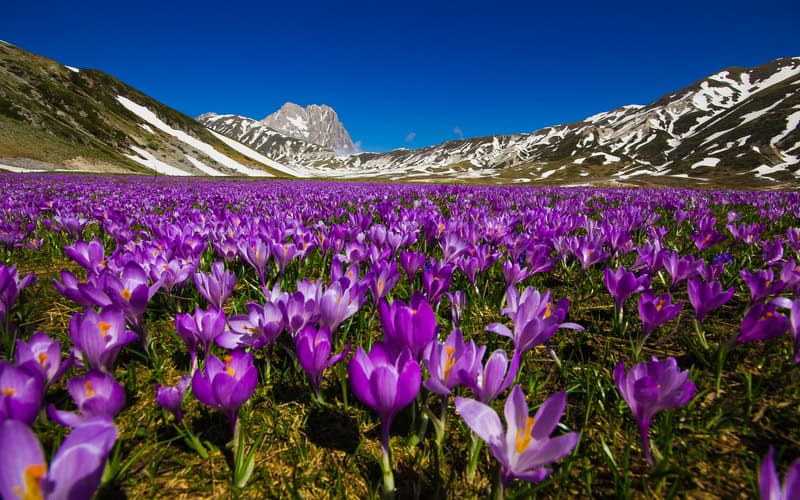 dreamstime s 54259487