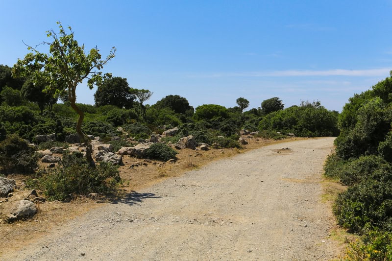 Turismo in Sardegna alla scoperta della Giara di Gesturi 15 Turismo in Sardegna alla scoperta della Giara di Gesturi