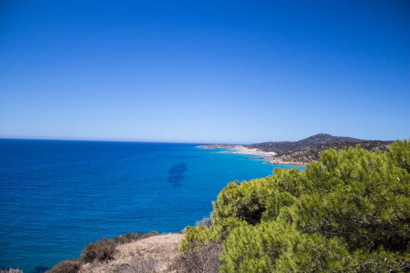 Viaggio tra i sentieri segreti di Cala del Morto in Sardegna 17 Viaggio tra i sentieri segreti di Cala del Morto in Sardegna