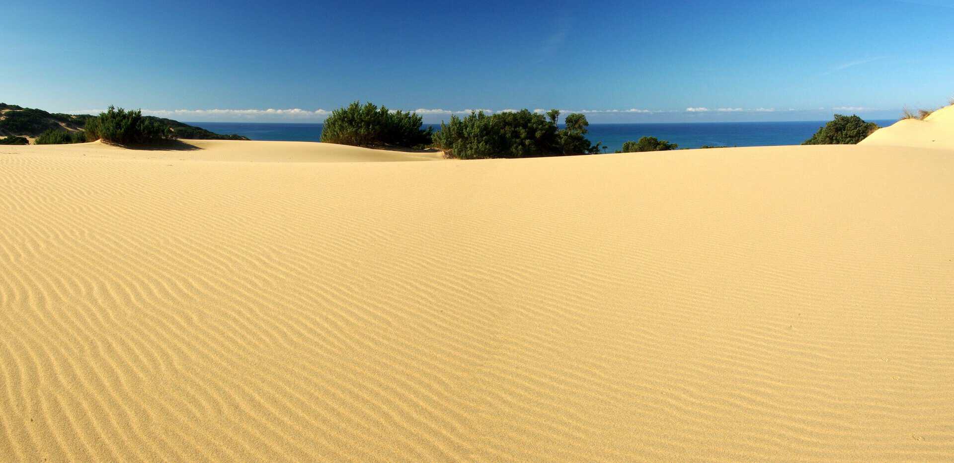 Viaggio sulle dune di Piscinas in Sardegna 12 Viaggio sulle dune di Piscinas in Sardegna