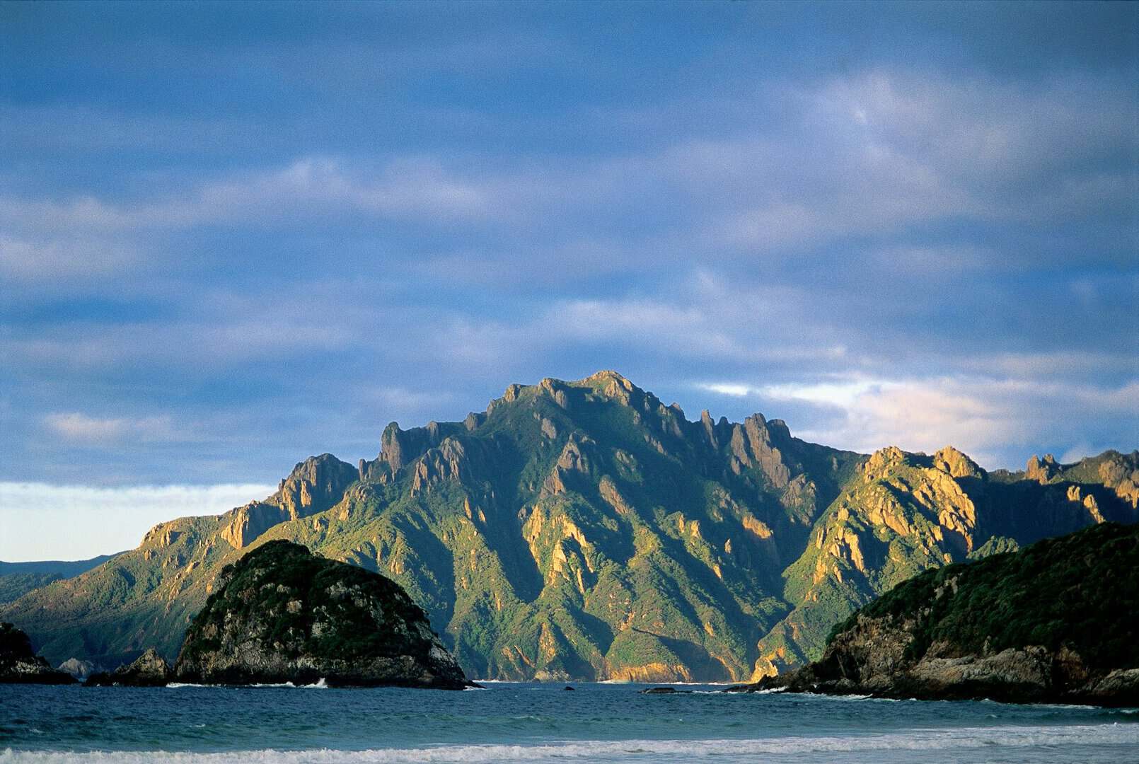 Un santuario di biodiversità e fauna selvatica a Stewart Island in Nuova Zelanda 3 Un santuario di biodiversità e fauna selvatica a Stewart Island in Nuova Zelanda
