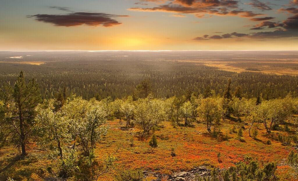 Esplorando i percorsi del Parco Urho Kekkonen durante un viaggio in Finlandia. Un’avventura indimenticabile 18 Esplorando i percorsi del Parco Urho Kekkonen durante un viaggio in Finlandia. Un’avventura indimenticabile
