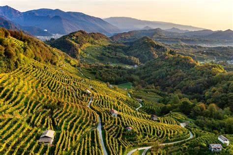 Valorizzazione del Patrimonio UNESCO: colline del Prosecco di Conegliano e Valdobbiadene