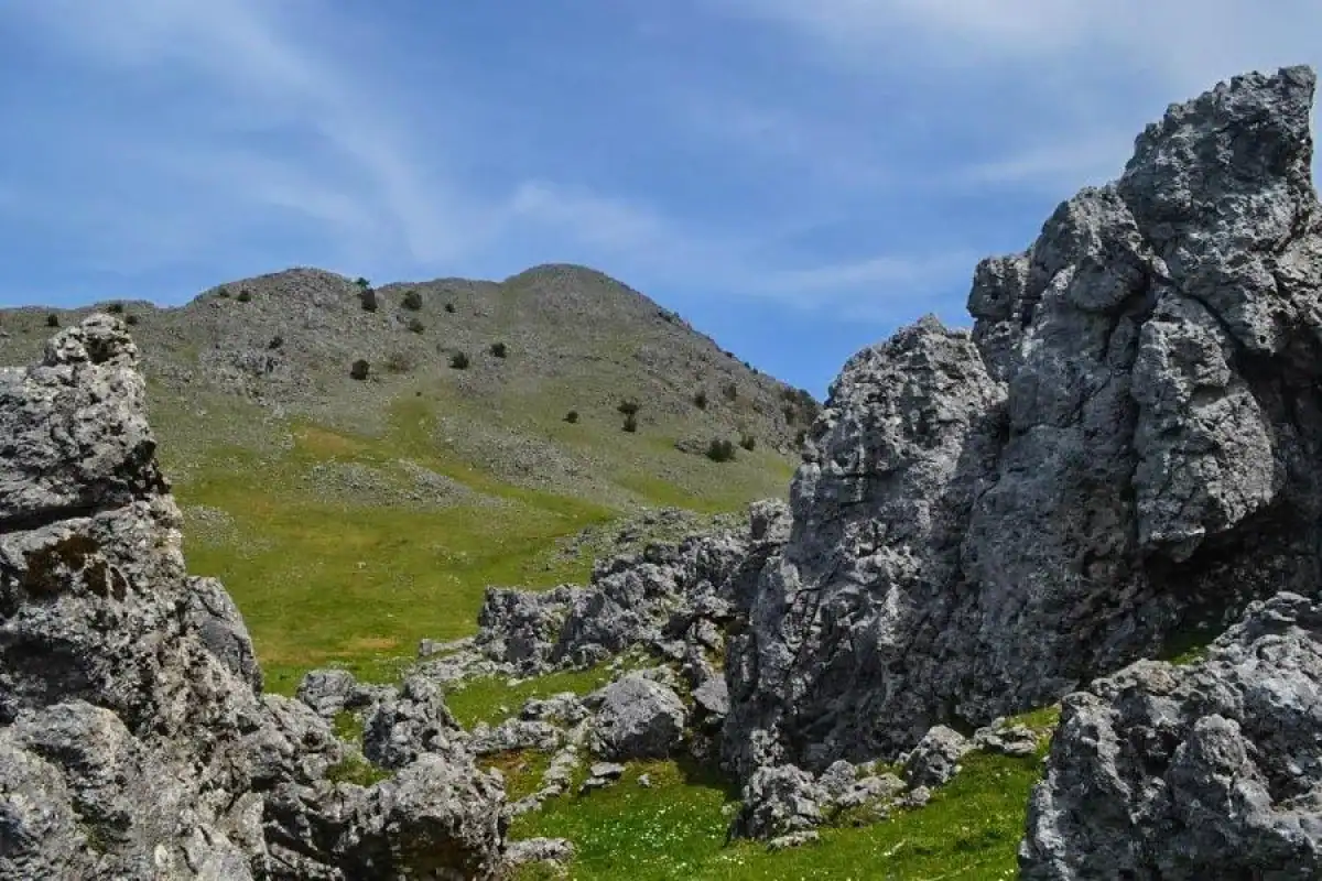 Esplorare il Monte Cocuzzo in Calabria. Un’avventurosa escursione affascinante viaggio 18 Esplorare il Monte Cocuzzo in Calabria. Un’avventurosa escursione affascinante viaggio