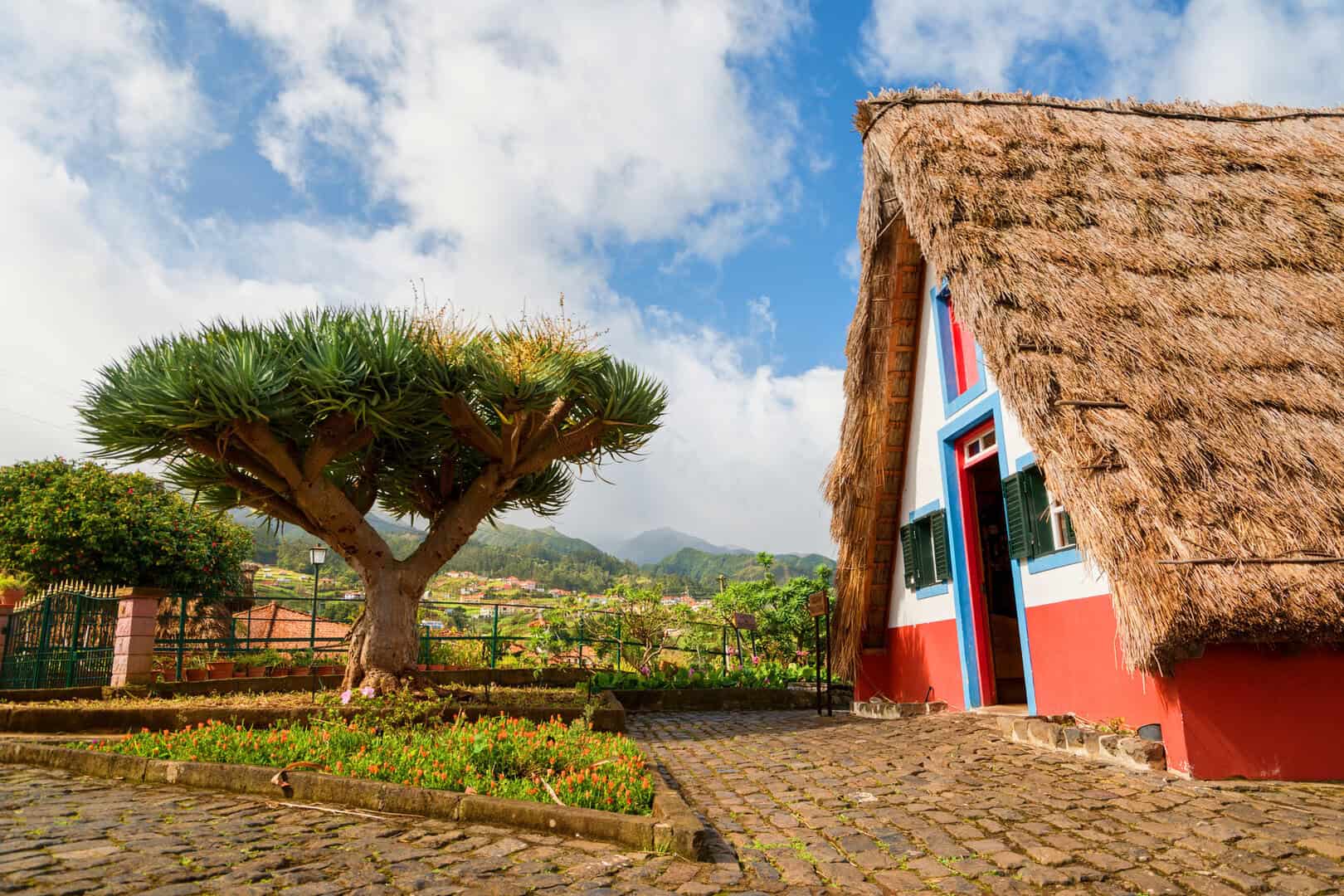 Le Hawaii d’Europa a poche ore di volo: Madeira, isola fuori dal comune. Si va senza passaporto 17 Le Hawaii d’Europa a poche ore di volo: Madeira, isola fuori dal comune. Si va senza passaporto