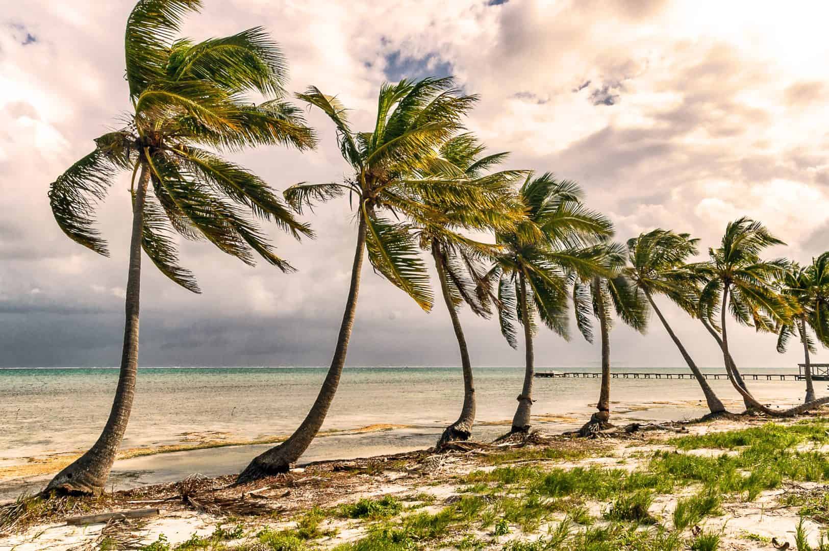 Scopri Ambergris Caye in Belize. Turismo low cost tra mare e barriere coralline 2 dreamstime m 187515933