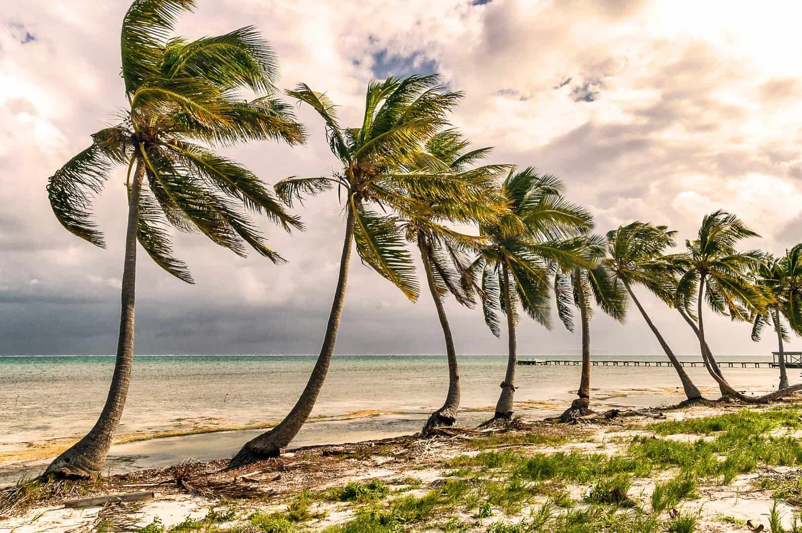 Scopri Ambergris Caye in Belize. Turismo low cost tra mare e barriere coralline 8 Scopri Ambergris Caye in Belize. Turismo low cost tra mare e barriere coralline