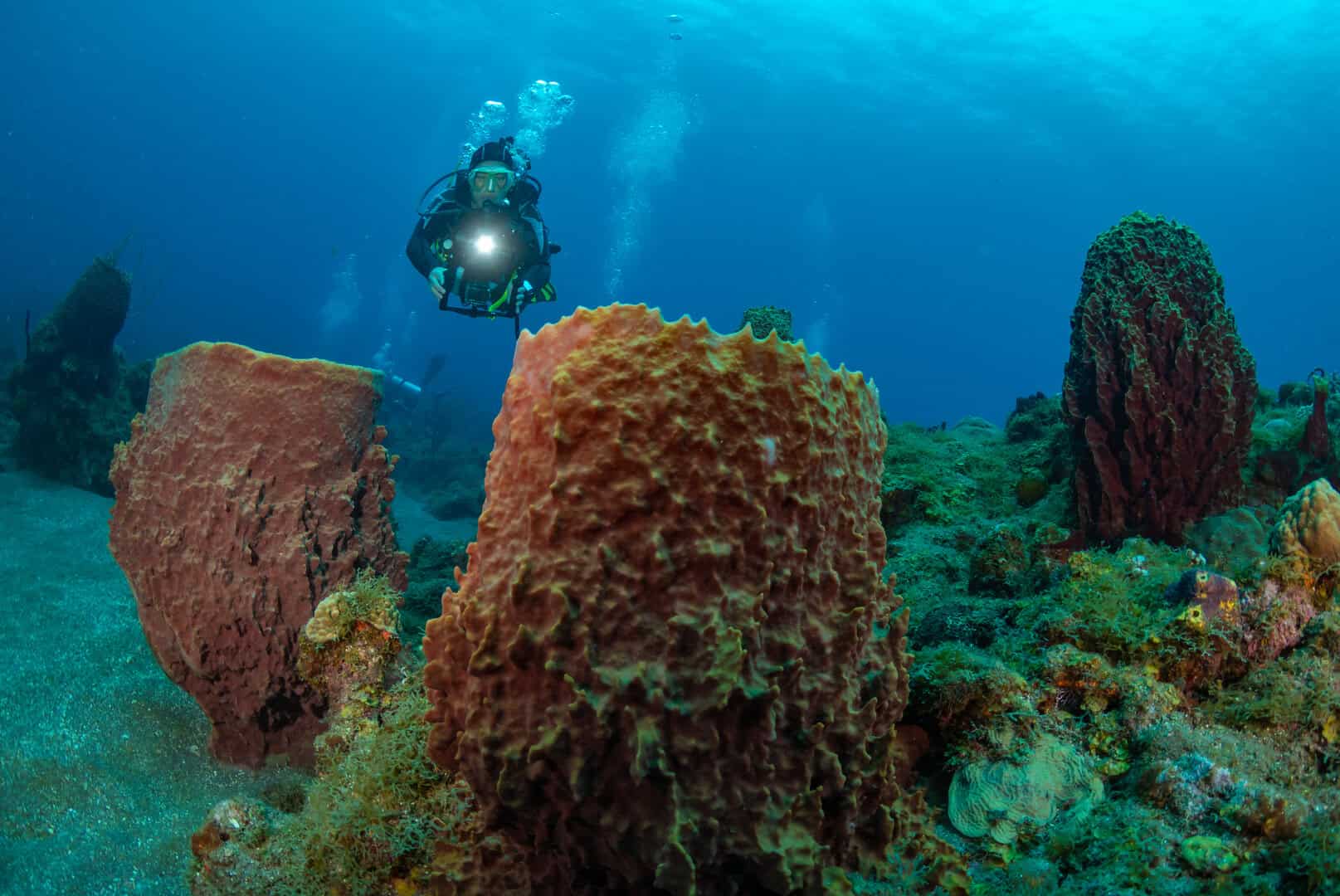 Saba, l’oasi eco-compatibile dei Caraibi