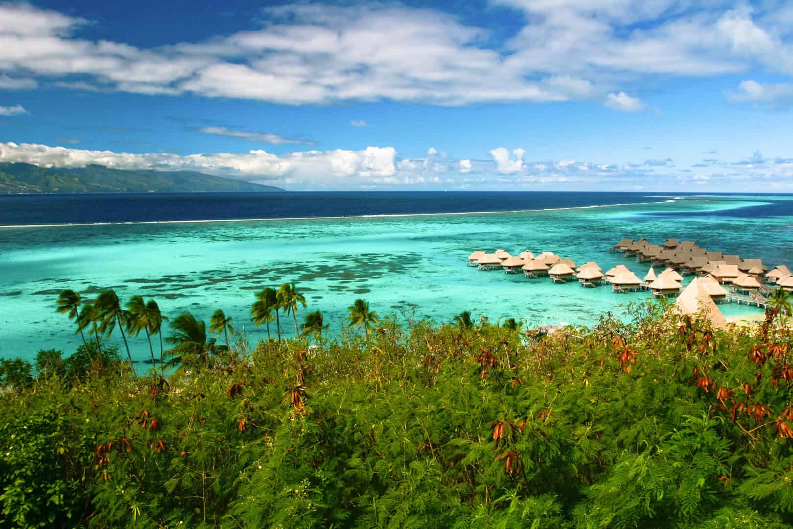 Scoprire mare e tradizioni polinesiane con un viaggio low cost a Moorea 18 Scoprire mare e tradizioni polinesiane con un viaggio low cost a Moorea