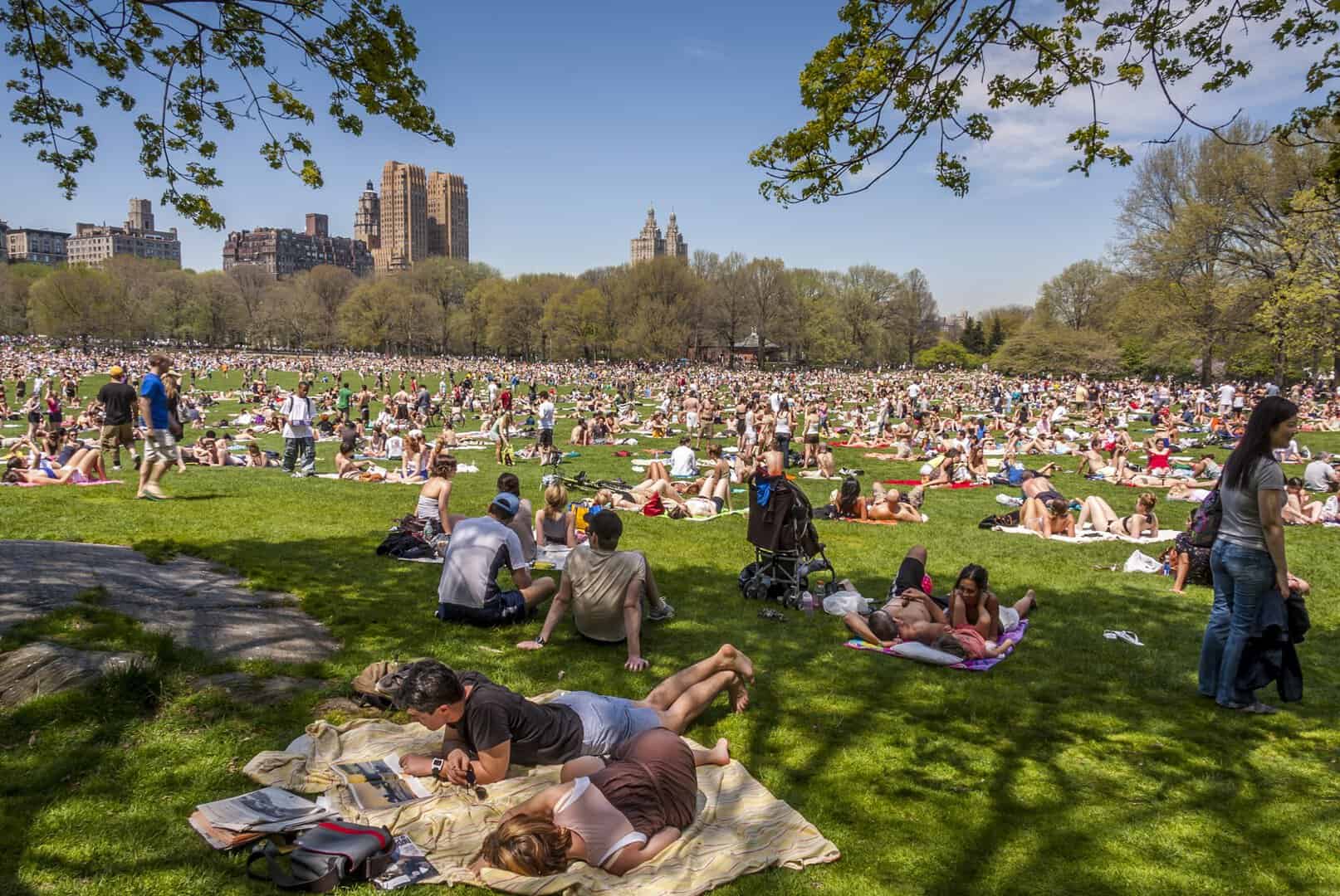 Costa Est degli Stati Uniti, ormai temperature record. Meteo estremo