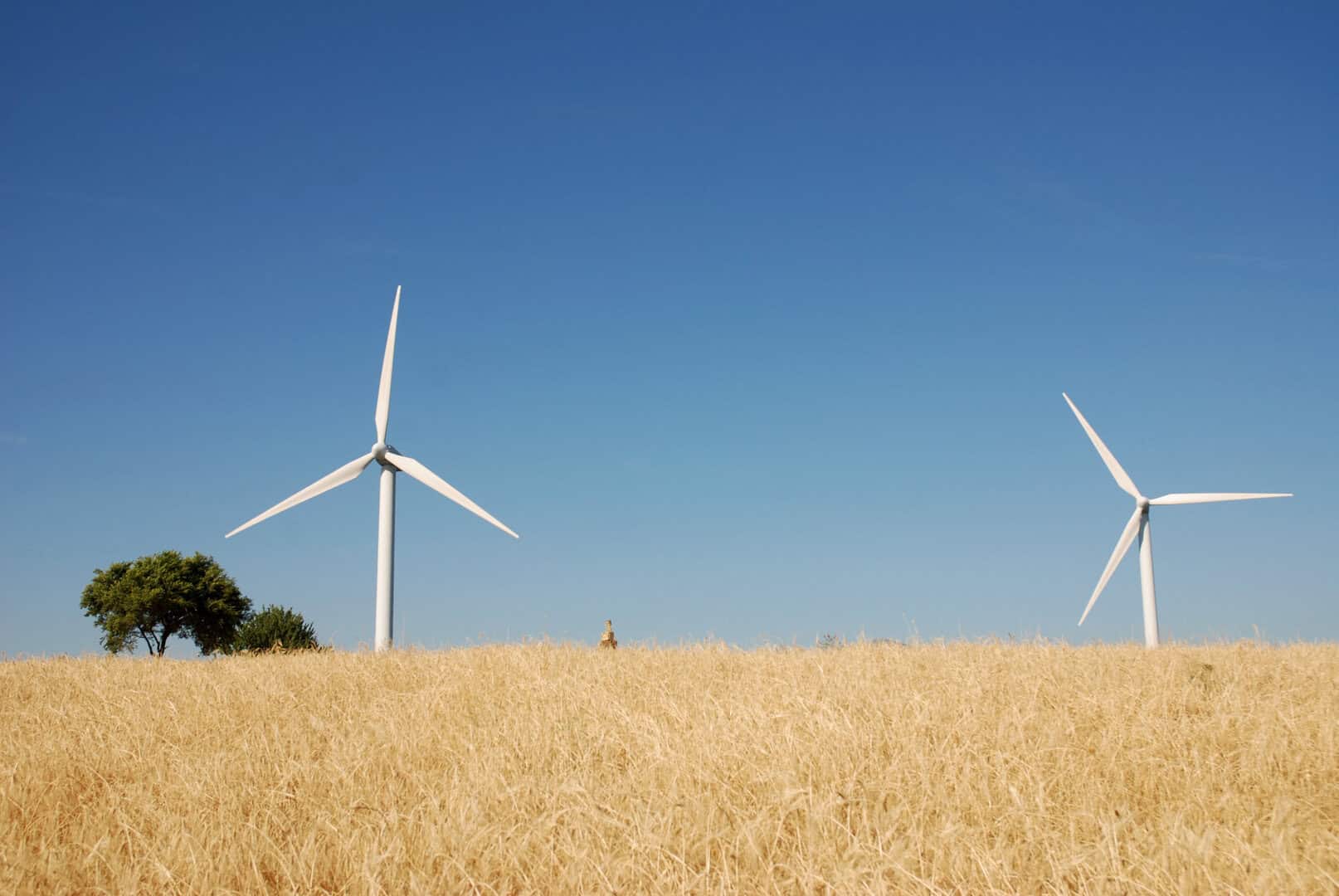 Una panoramica dettagliata delle sfide e opportunità dell’energia eolica in Italia