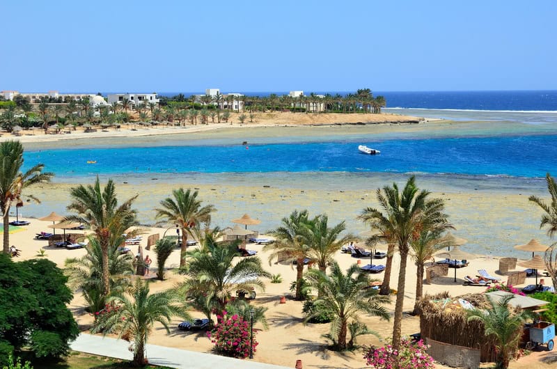 Vacanza tra le meraviglie marine e coralline di Marsa Alam 9 Vacanza tra le meraviglie marine e coralline di Marsa Alam