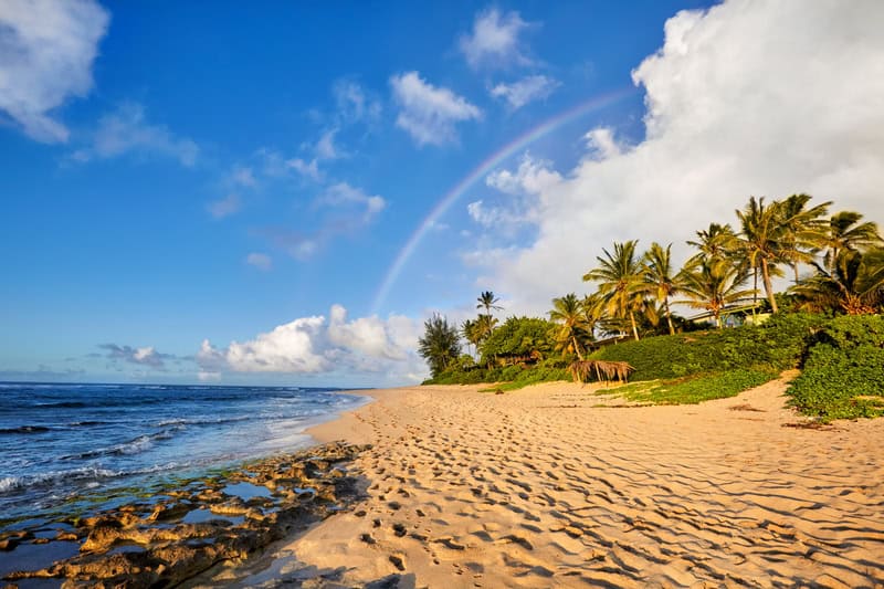 Turismo a Oahu, Hawaii, tra natura selvaggia, surf e scogliere
