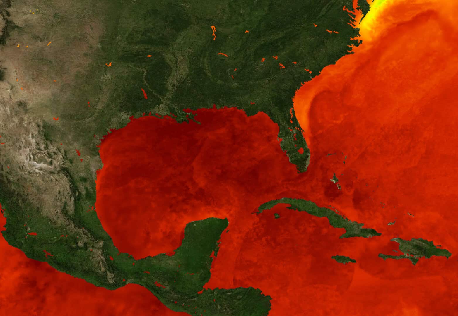 Mari italiani caldi come in Florida e Golfo del Messico: elevato rischio Medicane 4 2024 08 15 10 36 29 2