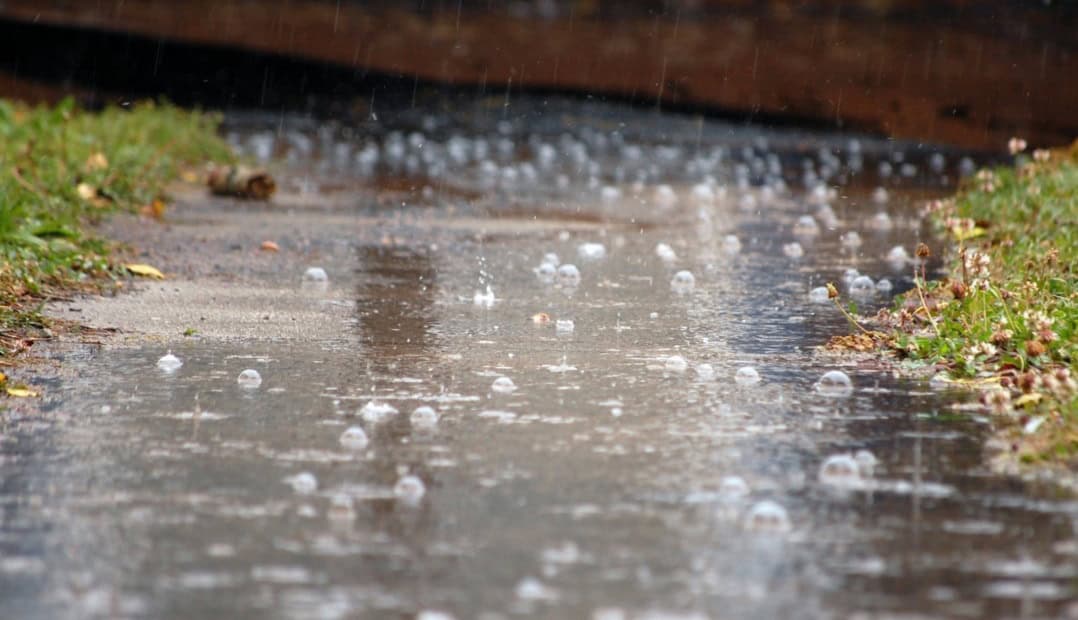 Curiosità meteo: come si chiama l’odore della pioggia che cade a terra?